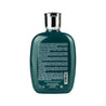 Shampoo Alfaparf Semi Di Lino Reparative 250ml